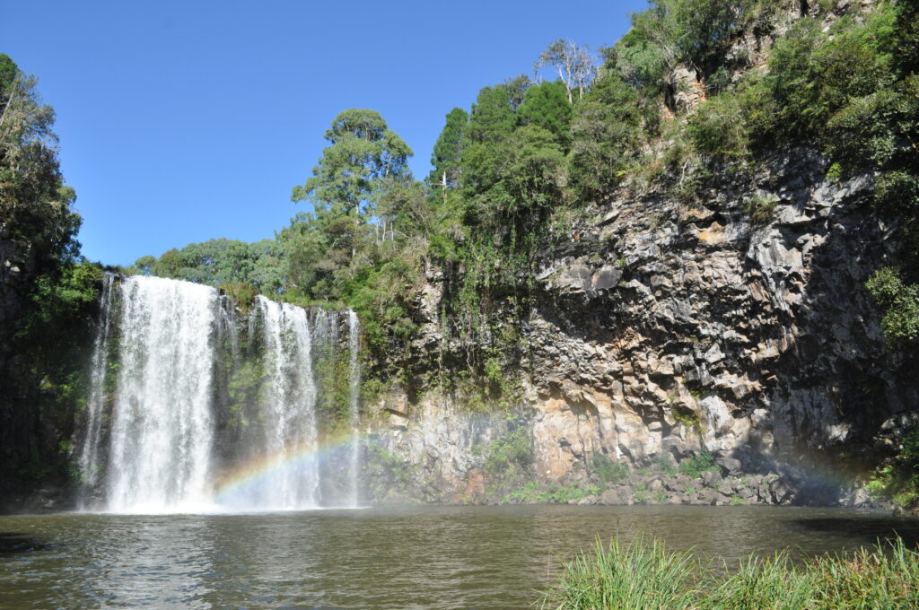 Dorrigo and Surrounds