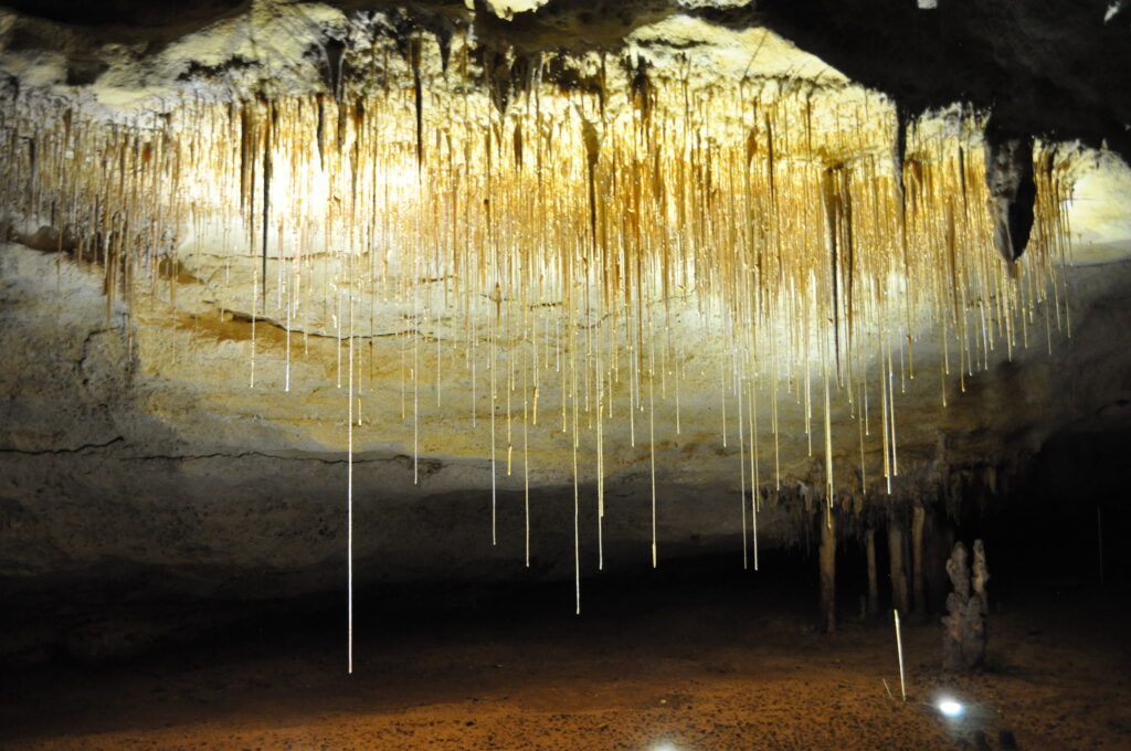 Naracoorte Caves National Park