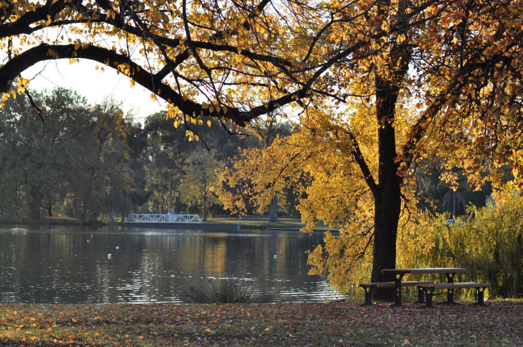 Picnic in the Park with Kids: Fun, Food and Outdoor Games