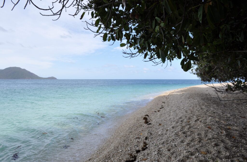 Fitzroy Island