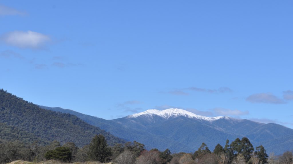 Visiting the High Country